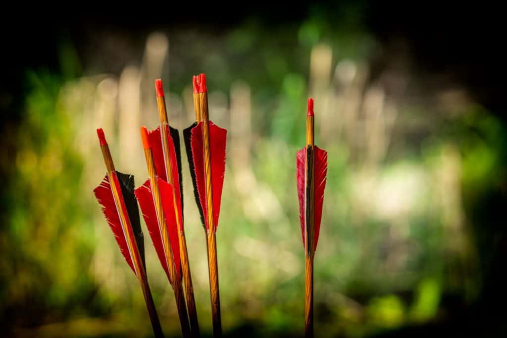 can-you-shoot-an-arrow-without-a-tip-the-body-training