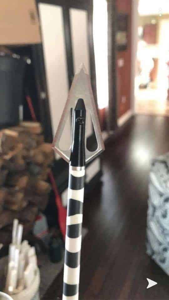 Best Broadheads For Recurve Bows The Body Training