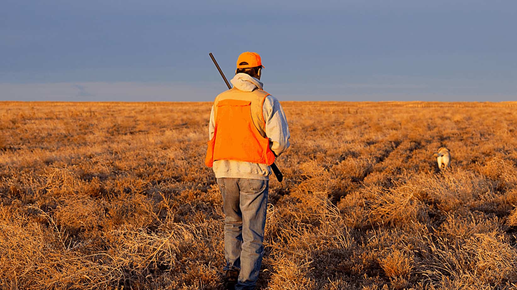 Can You Bow Hunt During Rifle Season In Colorado? The Body Training