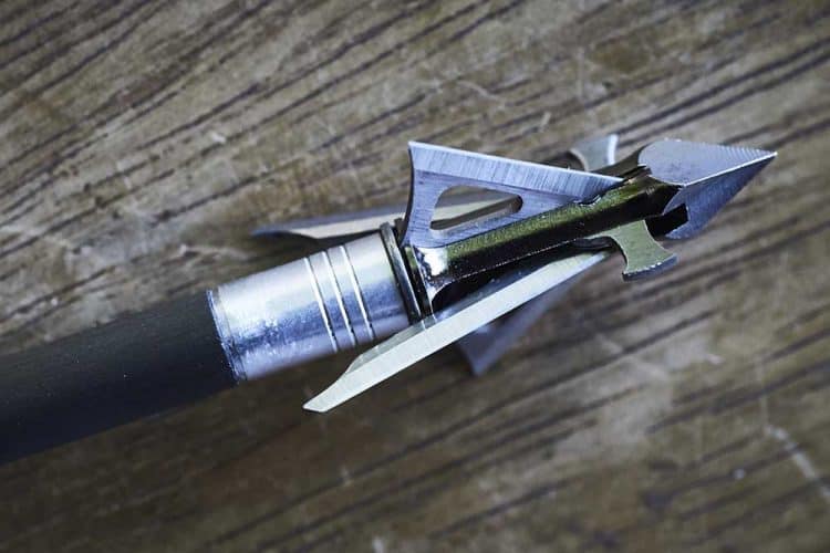 Best Mechanical Broadheads The Body Training