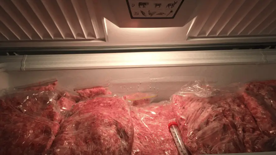 what-size-freezer-is-best-for-elk-the-body-training