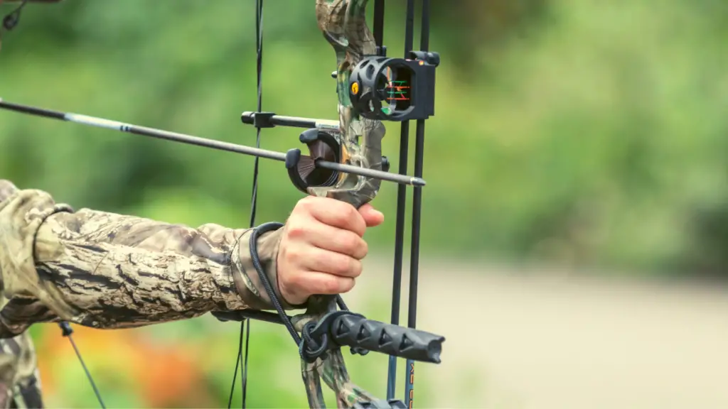 Can You Use A Whisker Biscuit On A Recurve Bow? The Body Training
