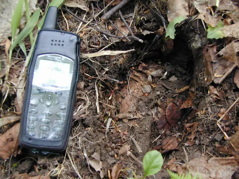 Elk Tracks Vs Deer Tracks Differences Explained The Body Training